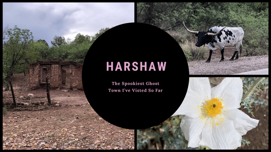 Three-photo collage showing a longhorn steer by the roadside, an abandoned adobe building in Harshaw, Arizona, and a desert flower—capturing the eerie beauty of a ghost town visit
